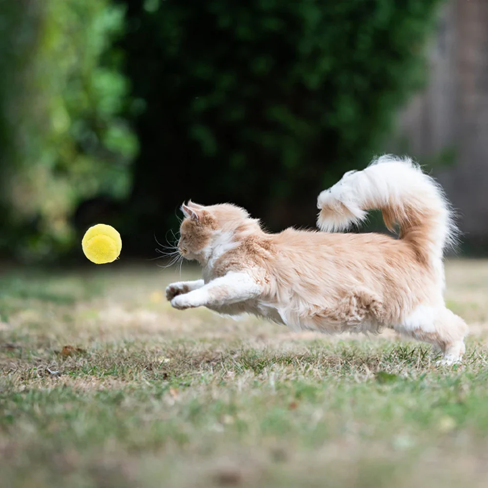 Active rolling ball - Image 3