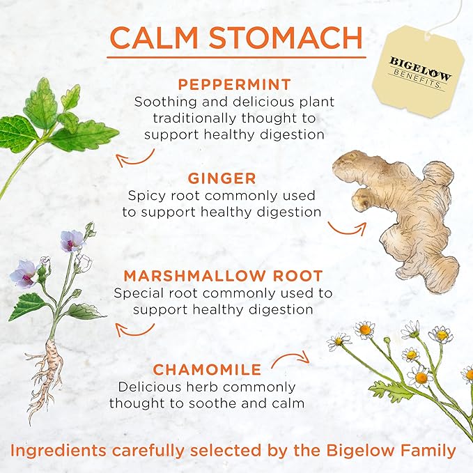Bigelow Benefits® Calm Stomach – Ginger & Peach Herbal Tea - Image 3