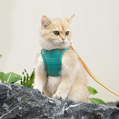 Cat Harness Leash - Image 3