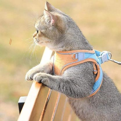 Cat Harness Leash - Image 4
