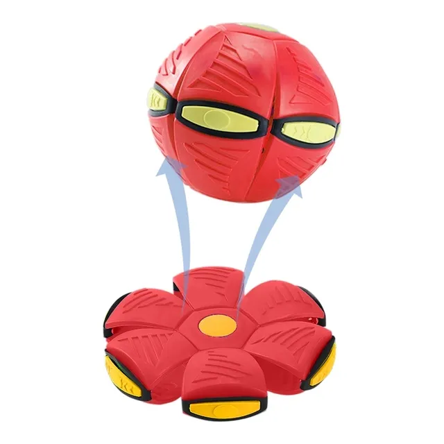 Doggy disk ball - Image 2