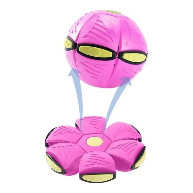 Doggy disk ball - Image 3