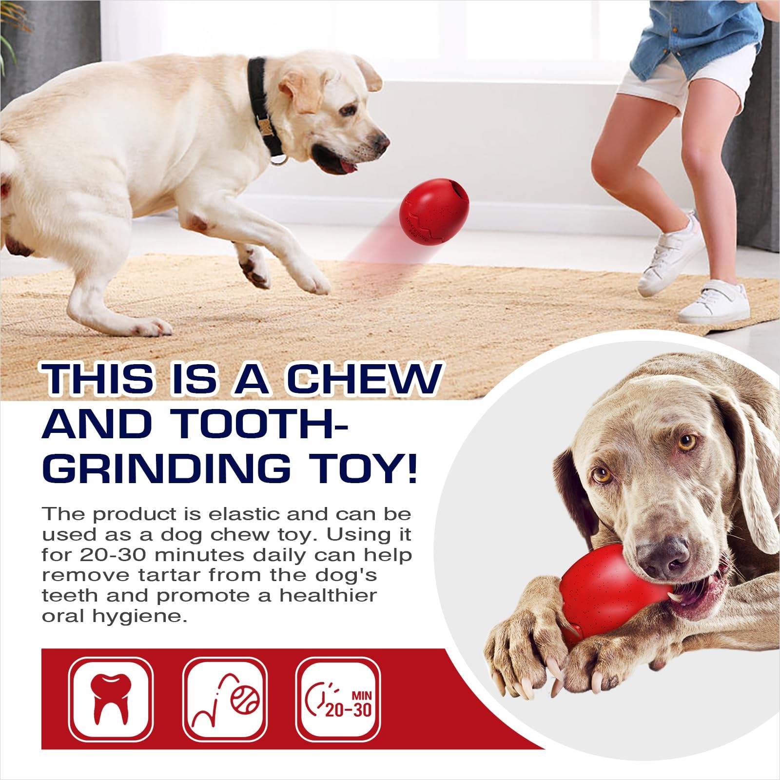 Eco-Friendly TPR Interactive Chew & Puzzle Ball – Bite-Resistant Anxiety Relief Toy for Dogs - Image 3