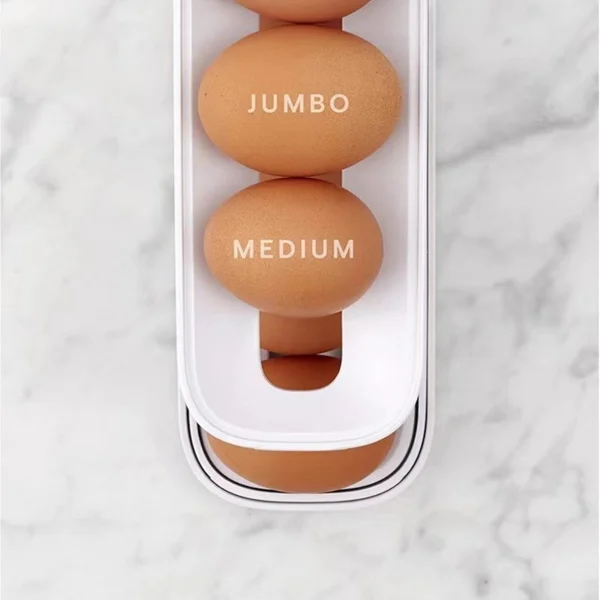 Egg Rack - Image 3
