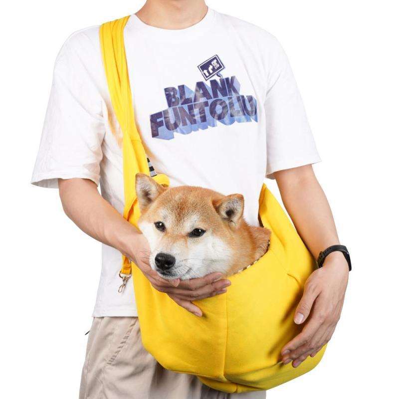 Pet Carrier Bag with Breathable Mesh and Shoulder Strap - Image 4